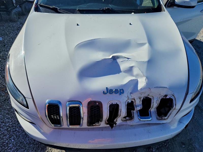 Фото 12 с аукциона – 2014 JEEP CHEROKEE с VIN 1C4PJLDBXEW314199