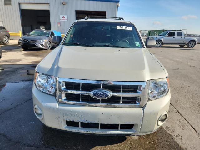 Photo 5 from auction – 2009 FORD ESCAPE XLT with VIN 1FMCU03779KD04093