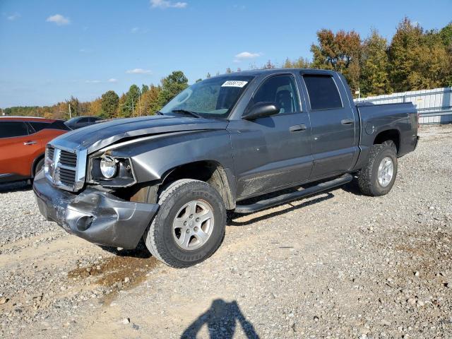 DODGE DAKOTA QUA 2006 with VIN 1D7HE48N66S573483 - Photo from auction