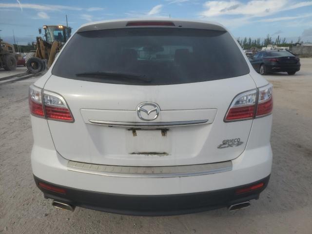 Photo 6 from auction – 2010 MAZDA CX-9 with VIN JM3TB2MAXA0238016