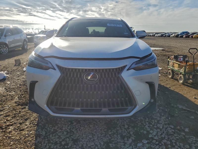 Photo 5 from auction – 2024 LEXUS NX 250 PRE with VIN 2T2GDCAZ8RC015751