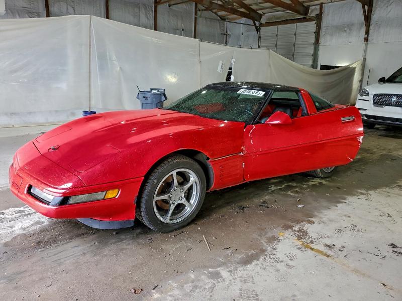 CHEVROLET CORVETTE 1994 with VIN 1G1YY22P6R5103191 - Photo from auction