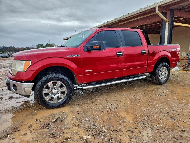 FORD F150 2011 con VIN 1FTFW1ET5BFB33936 - Foto de la subasta
