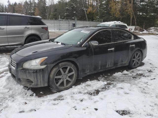 NISSAN MAXIMA S 2013 with VIN 1N4AA5AP5DC815833 - Photo from auction