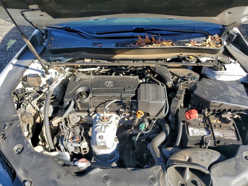 Photo 11 from auction – 2015 ACURA TLX with VIN 19UUB1F31FA016764