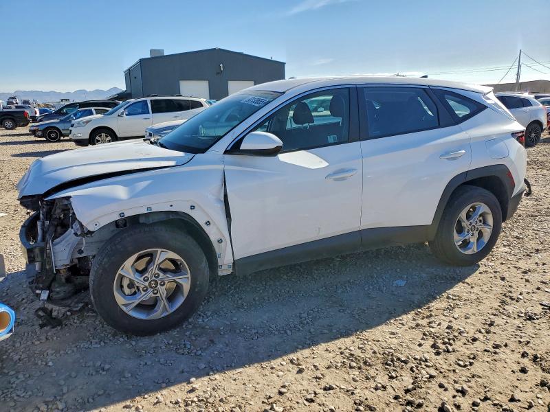 HYUNDAI TUCSON SE 2024 with VIN 5NMJACDEXRH398453 - Photo from auction