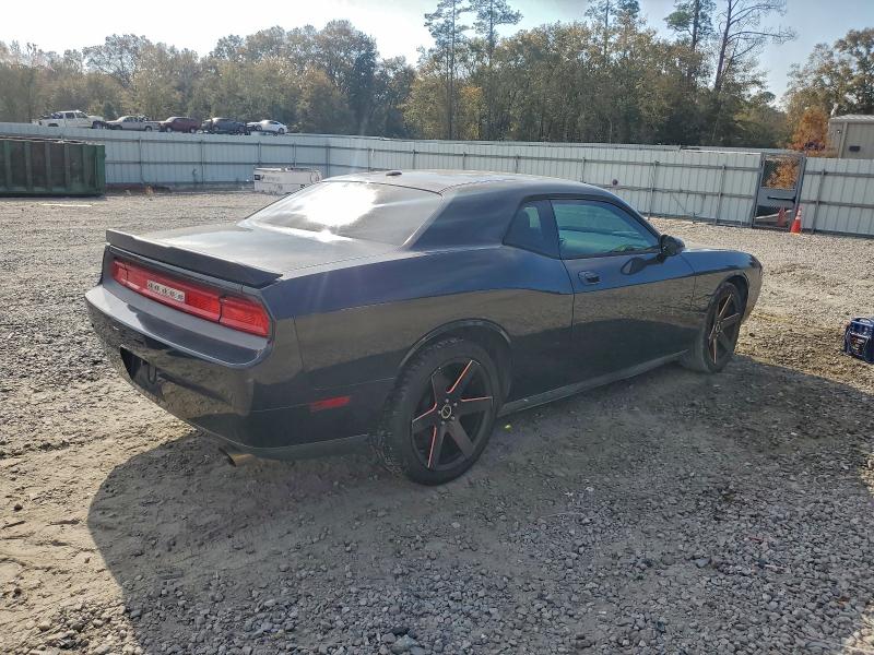 Photo 3 from auction – 2010 DODGE CHALLENGER with VIN 2B3CJ4DV4AH289292