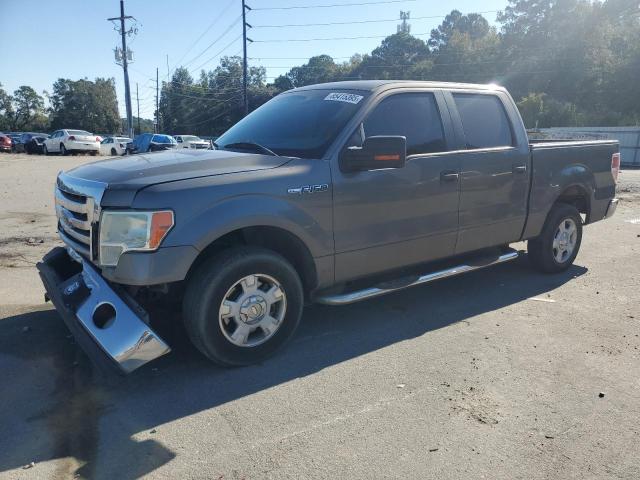FORD F150 SUPER 2010 with VIN 1FTEW1C80AFC81436 - Photo from auction