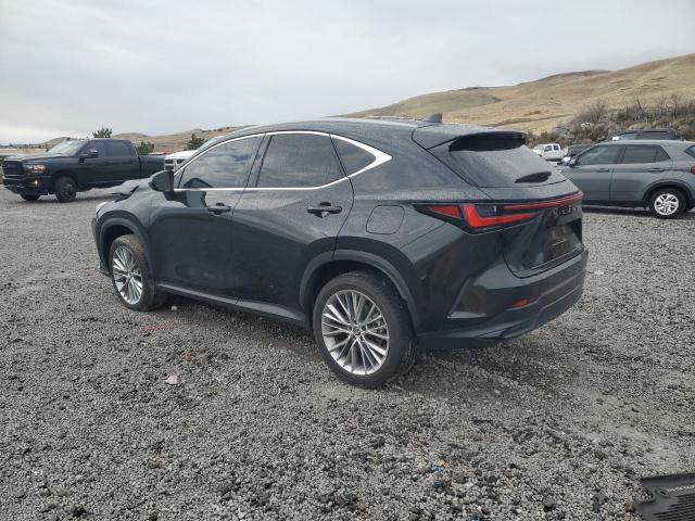 Photo 2 from auction – 2025 LEXUS NX 350H BA with VIN 2T2GKCEZXSC034100