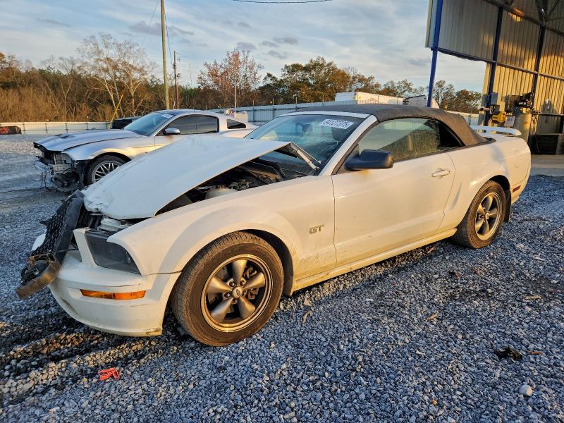 FORD MUSTANG 2006 with VIN 1ZVHT85H565205913 - Photo from auction