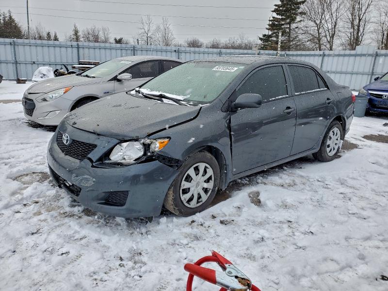 TOYOTA COROLLA BA 2010 with VIN 2T1BU4EE3AC499473 - Photo from auction