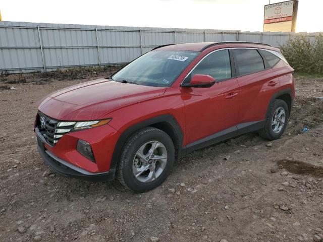 HYUNDAI TUCSON SEL 2023 with VIN 5NMJBCAE0PH170363 - Photo from auction