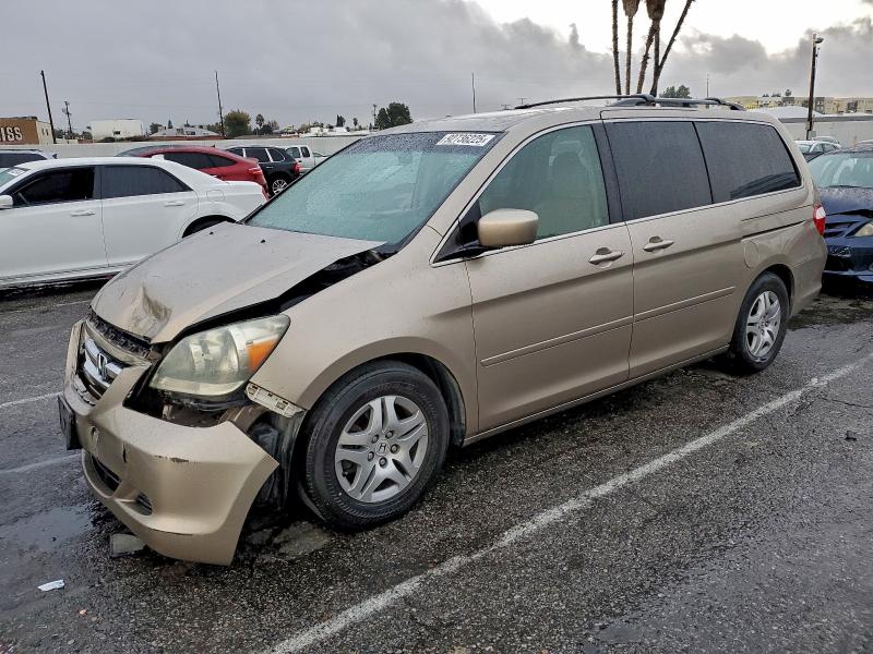 HONDA ODYSSEY 2007 with VIN 5FNRL38657B438081 - Photo from auction