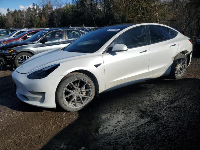 TESLA MODEL 3 2023 with VIN 5YJ3E1EA9PF491136 - Photo from auction