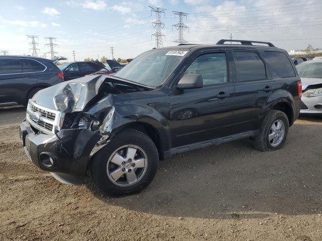 FORD ESCAPE XLT 2011 with VIN 1FMCU9DG3BKC23875 - Photo from auction