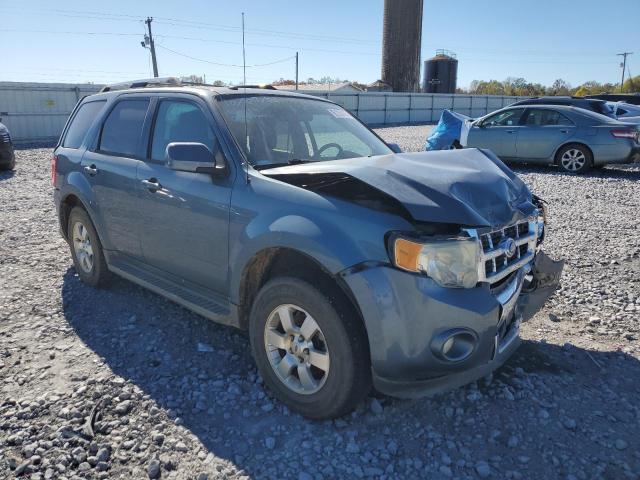 Photo 4 from auction – 2011 FORD ESCAPE LIM with VIN 1FMCU0EG2BKB88417