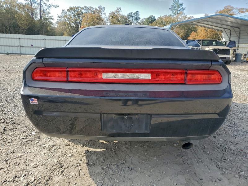 Photo 6 from auction – 2010 DODGE CHALLENGER with VIN 2B3CJ4DV4AH289292