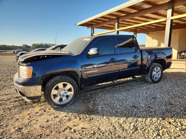 GMC SIERRA C15 2009 with VIN 2GTEC330X91109495 - Photo from auction