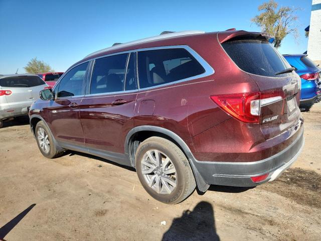 Photo 2 from auction – 2020 HONDA PILOT EXL with VIN 5FNYF5H55LB009295