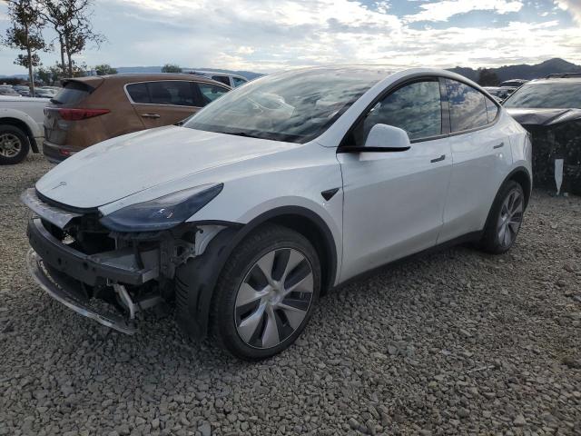 TESLA MODEL Y 2023 with VIN 7SAYGDEE2PF742439 - Photo from auction