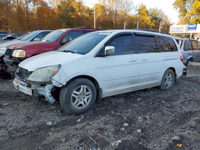 HONDA ODYSSEY EX 2007 with VIN 5FNRL38787B447916 - Photo from auction