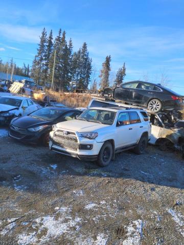 TOYOTA 4RUNNER SR 2019 with VIN JTEBU5JR1K5631767 - Photo from auction