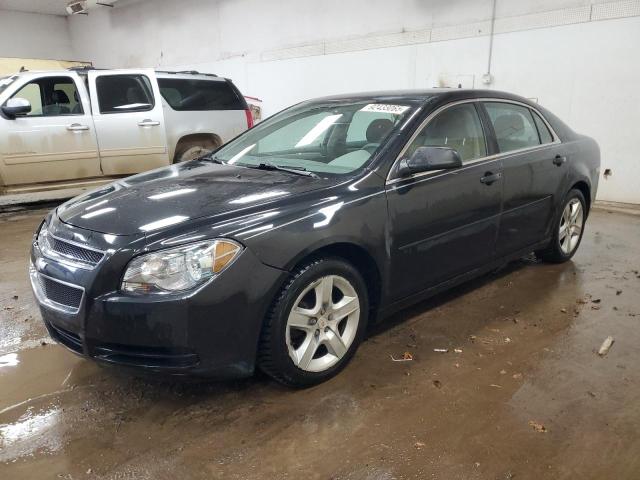 CHEVROLET MALIBU LS 2011 with VIN 1G1ZB5E18BF295356 - Photo from auction