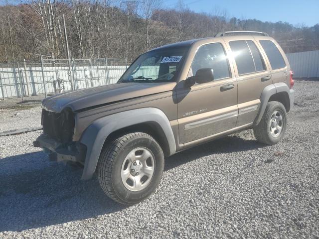 JEEP LIBERTY SP 2002 with VIN 1J4GL48K72W221107 - Photo from auction