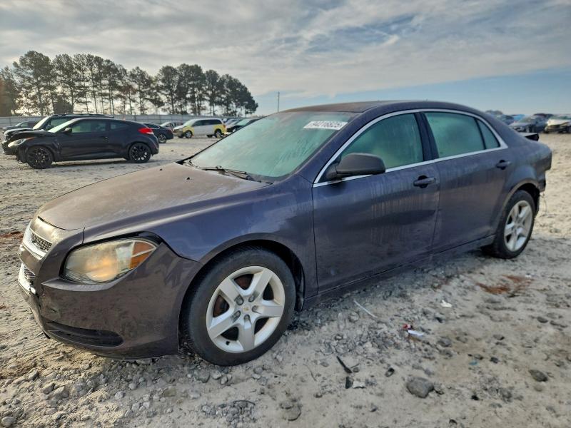 CHEVROLET MALIBU LS 2010 with VIN 1G1ZB5EB0A4144577 - Photo from auction