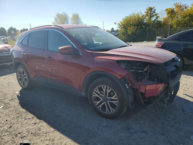 Photo 4 from auction – 2020 FORD ESCAPE SEL with VIN 1FMCU9H91LUA96710
