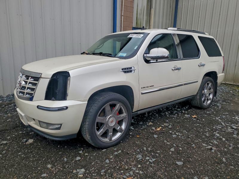 CADILLAC ESCALADE P 2011 with VIN 1GYS4CEF6BR143913 - Photo from auction
