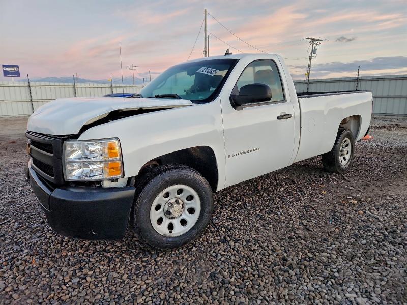 CHEVROLET SILVERADO 2008 with VIN 1GCEC14XX8Z160453 - Photo from auction