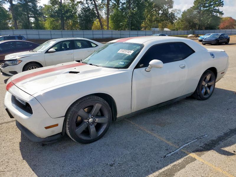 DODGE CHALLENGER 2013 with VIN 2C3CDYAG7DH515935 - Photo from auction