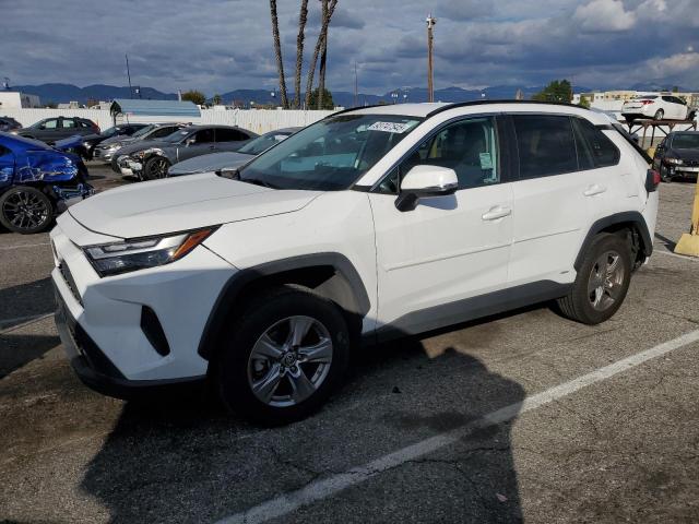 TOYOTA RAV4 LE 2023 with VIN 4T3MWRFVXPU087418 - Photo from auction