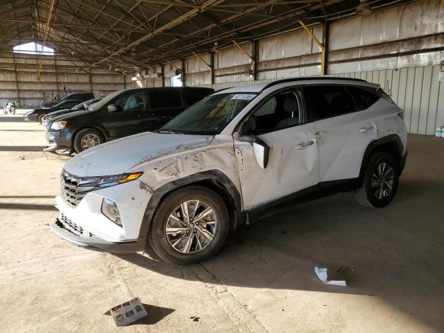HYUNDAI TUCSON BLU 2023 with VIN KM8JBCA11PU090555 - Photo from auction