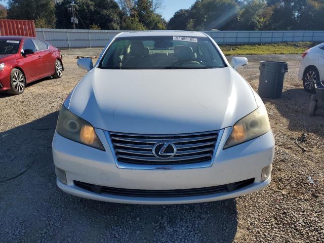 Photo 5 from auction – 2011 LEXUS ES 350 with VIN JTHBK1EG7B2464861
