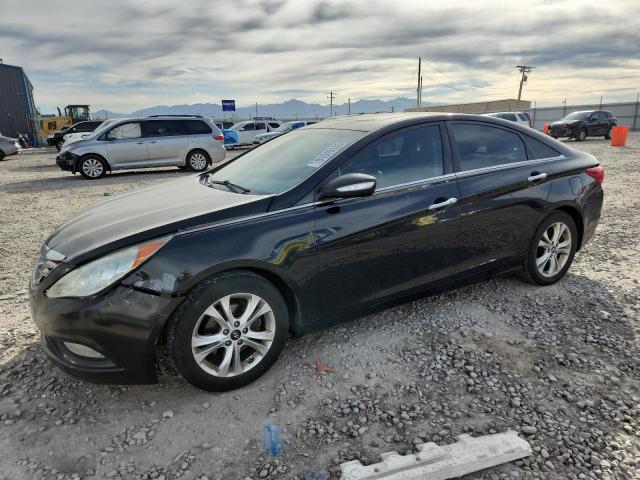 HYUNDAI SONATA SE 2013 with VIN 5NPEC4AC8DH804455 - Photo from auction