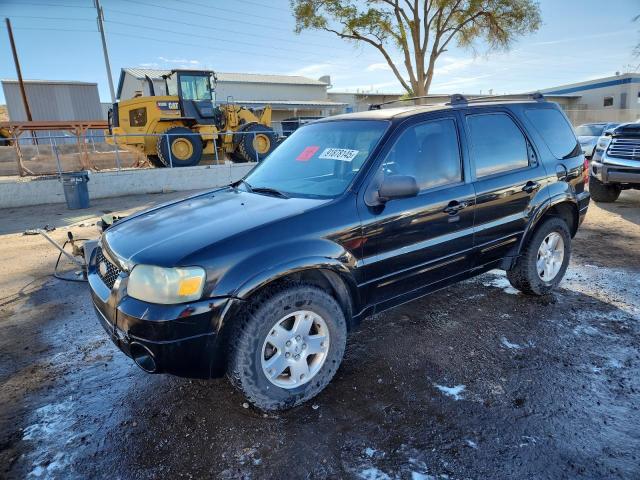 FORD ESCAPE 2007 with VIN 1FMYU94117KA18449 - Photo from auction