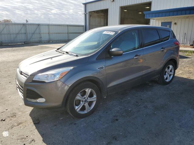 FORD ESCAPE SE 2014 with VIN 1FMCU0GXXEUC45131 - Photo from auction