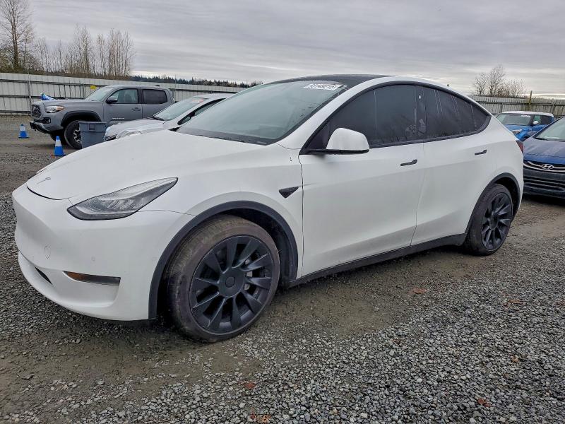 TESLA MODEL Y 2020 with VIN 5YJYGDEE9LF056048 - Photo from auction