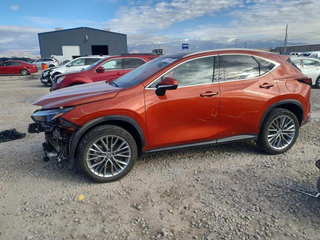 LEXUS NX 350H 2022 with VIN 2T2HKCEZ3NC006034 - Photo from auction