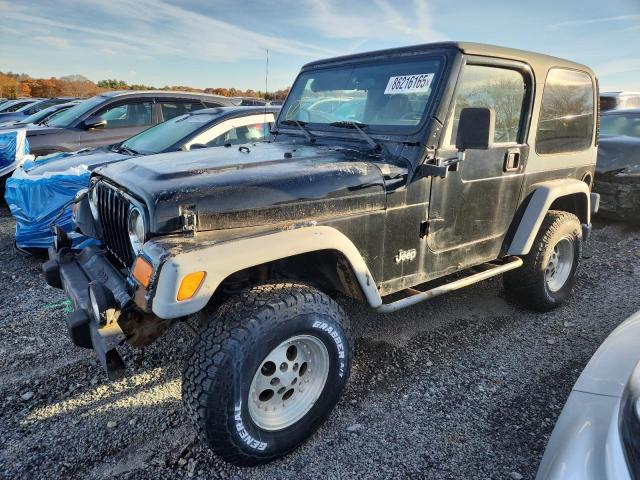 JEEP WRANGLER / 2001 with VIN 1J4FA49S51P369913 - Photo from auction