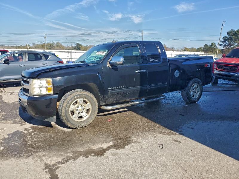 CHEVROLET SILVERADO 2009 with VIN 1GCEK290X9Z293462 - Photo from auction