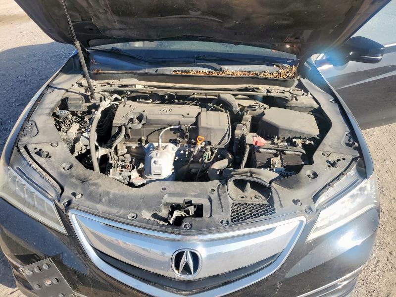 Photo 11 from auction – 2016 ACURA TLX with VIN 19UUB1F37GA014258