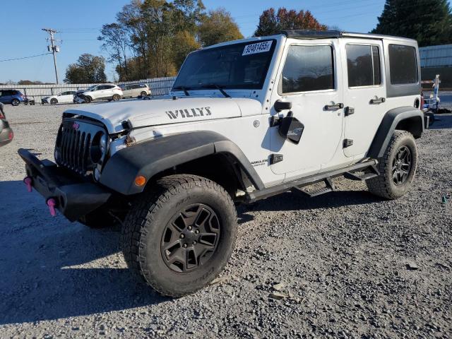 JEEP WRANGLER U 2015 with VIN 1C4BJWDG2FL565101 - Photo from auction