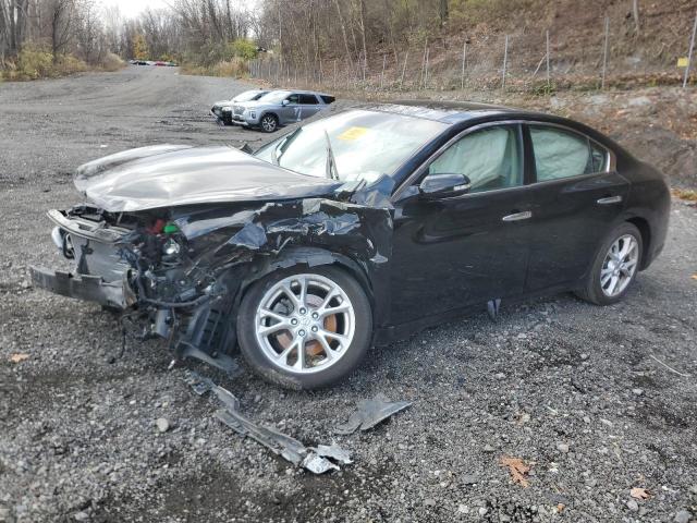 NISSAN MAXIMA S 2013 with VIN 1N4AA5AP8DC833985 - Photo from auction