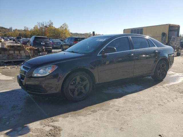 CHEVROLET MALIBU LS 2011 with VIN 1G1ZB5E12BF259680 - Photo from auction