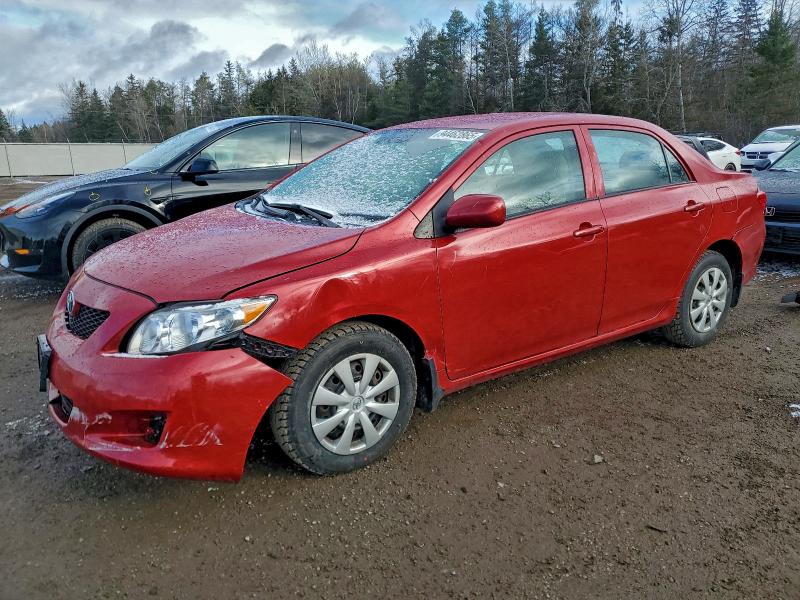 TOYOTA COROLLA BA 2010 with VIN 2T1BU4EE0AC196957 - Photo from auction