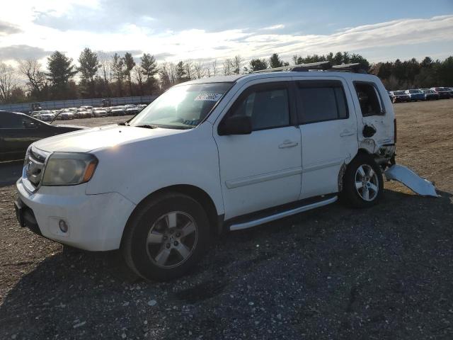 HONDA PILOT EXLN 2011 with VIN 5FNYF4H77BB028294 - Photo from auction