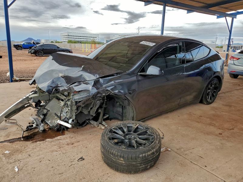 TESLA MODEL Y 2024 with VIN 7SAYGDED3RF088559 - Photo from auction